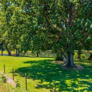 Photo #29 of 1783 Prince Edward Highway, Pamplin, VA 96.6 acres