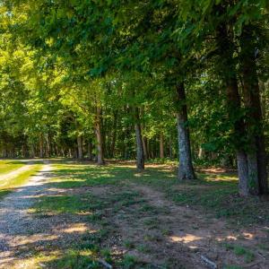 Photo #53 of 1783 Prince Edward Highway, Pamplin, VA 96.6 acres