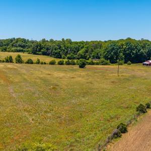 Photo #18 of 1783 Prince Edward Highway, Pamplin, VA 96.6 acres