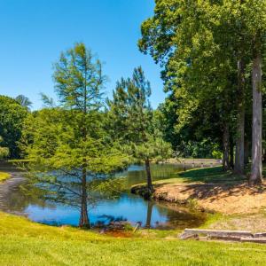 Photo #19 of 1783 Prince Edward Highway, Pamplin, VA 96.6 acres