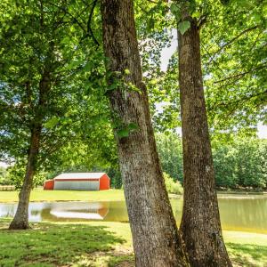 Photo #67 of 1783 Prince Edward Highway, Pamplin, VA 96.6 acres