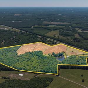 Photo #88 of 1783 Prince Edward Highway, Pamplin, VA 96.6 acres
