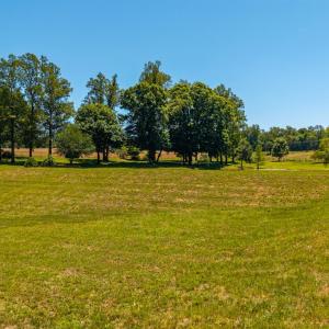 Photo #47 of 1783 Prince Edward Highway, Pamplin, VA 96.6 acres