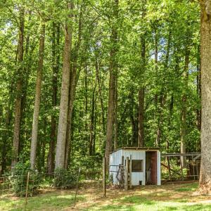 Photo #63 of 1783 Prince Edward Highway, Pamplin, VA 96.6 acres