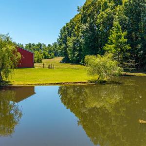 Photo #43 of 1783 Prince Edward Highway, Pamplin, VA 96.6 acres
