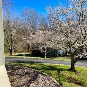 Photo #85 of 154 Sunset Ridge Road, Forest, VA 0.1 acres