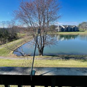 Photo #48 of 154 Sunset Ridge Road, Forest, VA 0.1 acres