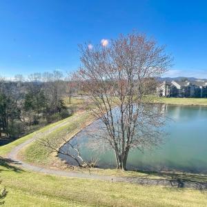 Photo #12 of 154 Sunset Ridge Road, Forest, VA 0.1 acres