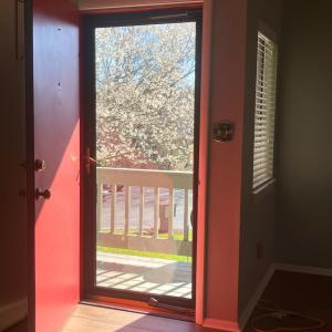 Photo #59 of 154 Sunset Ridge Road, Forest, VA 0.1 acres