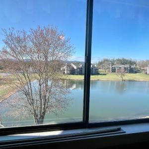 Photo #16 of 154 Sunset Ridge Road, Forest, VA 0.1 acres