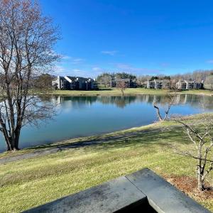 Photo #86 of 154 Sunset Ridge Road, Forest, VA 0.1 acres