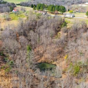 Photo #88 of 712 Cherry Hill Road, Amherst, VA 21.5 acres