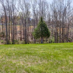 Photo #70 of 2352 Union Church Road, Thaxton, VA 3.0 acres