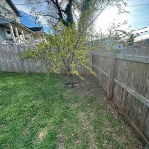 Photo #16 of 304 Walnut Street, Lynchburg, VA 0.1 acres