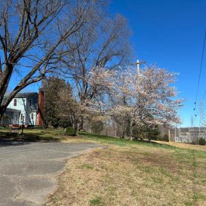 Photo #50 of 508 Old Trents Ferry Road, Lynchburg, VA 29.7 acres