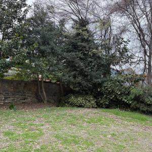 Photo #13 of 1421 Main St., Lynchburg, VA 0.1 acres