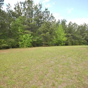 Photo #80 of 2453 Easome Road, Hurt, VA 6.4 acres