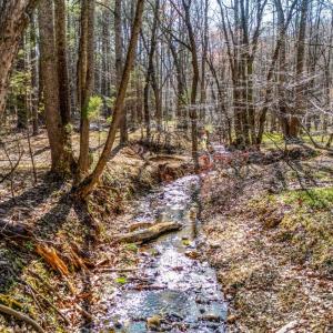 Photo #3 of 624 Woodline Drive, Concord, VA 5.0 acres