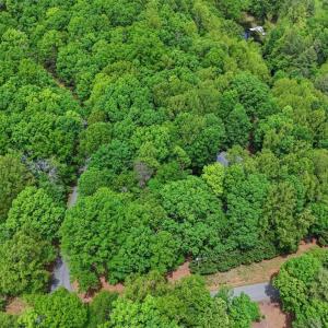 Photo #60 of 101 Oakmont Court, Lynchburg, VA 2.2 acres