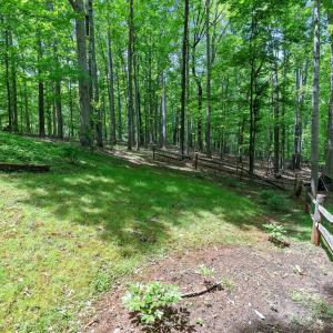 Photo #74 of 101 Oakmont Court, Lynchburg, VA 2.2 acres