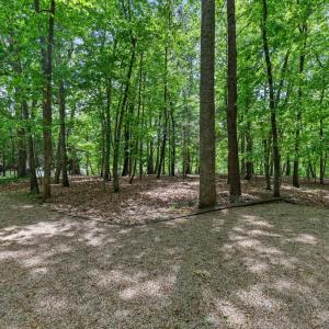 Photo #71 of 101 Oakmont Court, Lynchburg, VA 2.2 acres