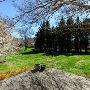 Photo #3 of 102 Meadows Dr, Forest, VA 0.5 acres