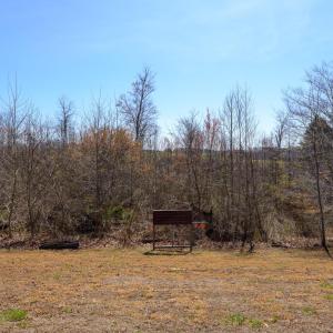Photo #41 of 6031 Big Island Highway, Bedford, VA 1.6 acres