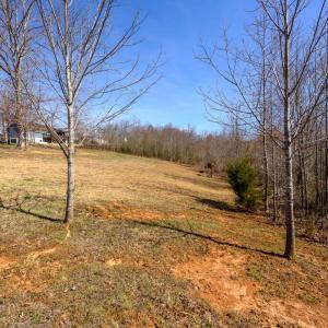 Photo #39 of 6031 Big Island Highway, Bedford, VA 1.6 acres