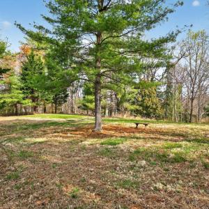 Photo #40 of 12477 North Old Moneta Road, Moneta, VA 2.0 acres