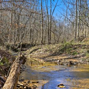 Photo #39 of 3097 Liberty Chapel Road, Appomattox, VA 4.0 acres