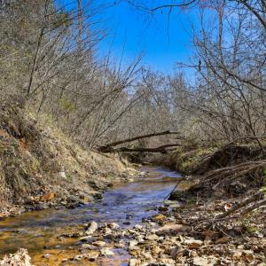 Photo #38 of 3097 Liberty Chapel Road, Appomattox, VA 4.0 acres