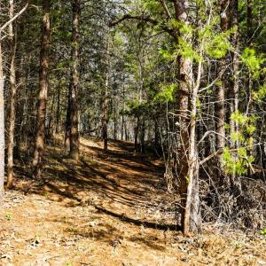 Photo #32 of 3097 Liberty Chapel Road, Appomattox, VA 4.0 acres