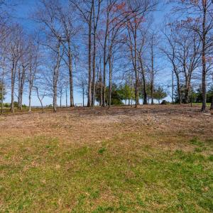 Photo #59 of 1636 Tucker Terrace, Evington, VA 7.2 acres