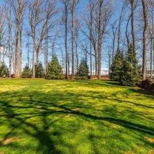 Photo #34 of 1215 Smoketree Drive, Forest, VA 0.9 acres