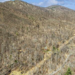 Photo #54 of 1095 Campbells Mtn Rd, Tyro, VA 14.5 acres