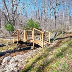 Photo #41 of 1095 Campbells Mtn Rd, Tyro, VA 14.5 acres