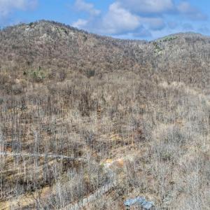 Photo #51 of 1095 Campbells Mtn Rd, Tyro, VA 14.5 acres