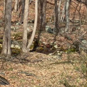 Photo #6 of 1081 Stoney Way, Bedford, VA 5.0 acres