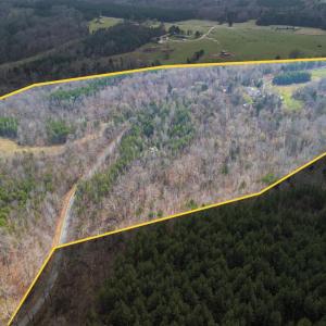 Photo #86 of 3805 Whipping Creek Road, Gladys, VA 62.8 acres