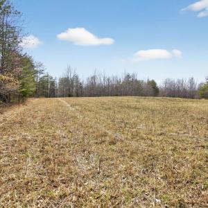 Photo #75 of 3805 Whipping Creek Road, Gladys, VA 62.8 acres