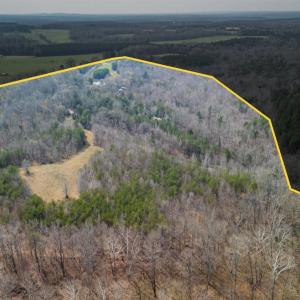 Photo #84 of 3805 Whipping Creek Road, Gladys, VA 62.8 acres