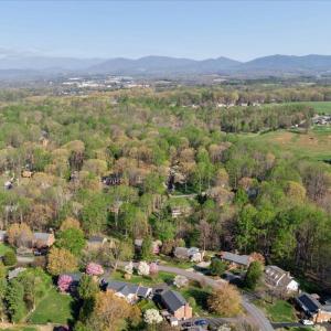 Photo #63 of 115 Lafayette Place, Forest, VA 0.6 acres