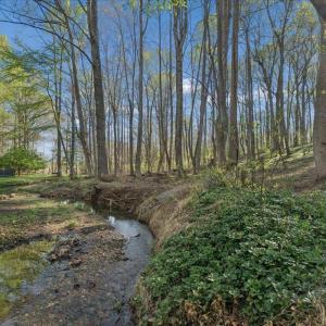 Photo #61 of 115 Lafayette Place, Forest, VA 0.6 acres