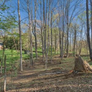 Photo #58 of 115 Lafayette Place, Forest, VA 0.6 acres