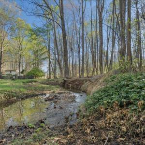 Photo #60 of 115 Lafayette Place, Forest, VA 0.6 acres