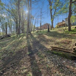 Photo #59 of 115 Lafayette Place, Forest, VA 0.6 acres