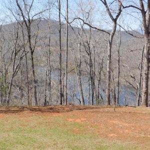 Photo #10 of 320 Ruth Drive, Madison Heights, VA 5.5 acres