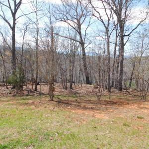 Photo #16 of 320 Ruth Drive, Madison Heights, VA 5.5 acres