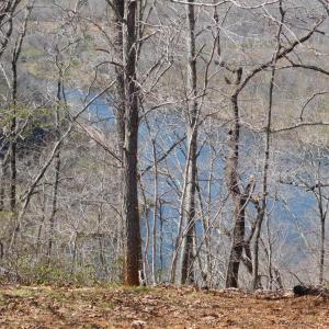 Photo #17 of 320 Ruth Drive, Madison Heights, VA 5.5 acres