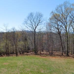 Photo #11 of 320 Ruth Drive, Madison Heights, VA 5.5 acres